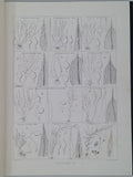 KLEINHANS Rodolphe "Iconographie des Mousses"