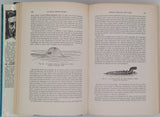 HEUVELMANS Bernard "Histoire des bêtes ignorées de la mer : Le grand serpent-de-mer. Le problème zoologique et sa solution"