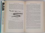 HEUVELMANS Bernard "Histoire des bêtes ignorées de la mer : Le grand serpent-de-mer. Le problème zoologique et sa solution"