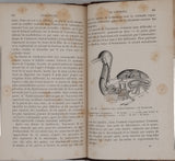 PORTAL Camille, de GRAFFIGNY Henry "Les Merveilles de l'Horlogerie"