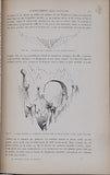 LAPPARENT Albert de "TRAITE DE GEOLOGIE" Cinquième édition