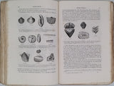 de Lapparent Albert "TRAITE DE GEOLOGIE" deuxième édition