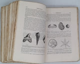 de Lapparent Albert "TRAITE DE GEOLOGIE" deuxième édition