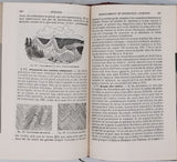 BEUDANT François-Sulpice "Cours élémentaire d'histoire naturelle à l'usage des lycées collèges, séminaires et maisons d'éducation : Minéralogie et Géologie"