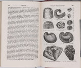 BEUDANT François-Sulpice "Cours élémentaire d'histoire naturelle à l'usage des lycées collèges, séminaires et maisons d'éducation : Minéralogie et Géologie"