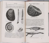 BEUDANT François-Sulpice "Cours élémentaire d'histoire naturelle à l'usage des lycées collèges, séminaires et maisons d'éducation : Minéralogie et Géologie"