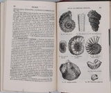 BEUDANT François-Sulpice "Cours élémentaire d'histoire naturelle à l'usage des lycées collèges, séminaires et maisons d'éducation : Minéralogie et Géologie"