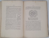 Collectif "CONGRÈS INTERNATIONAL DE DÉFENSE CONTRE LA GRÊLE ET DE L'HYBRIDATION DE LA VIGNE tenu à Lyon les 15, 16 et 17 Novembre 1901 TOME SECOND L'Hybridation de la Vigne"