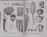 DENIZOT Georges "Petit atlas des fossiles 3 Fascicules : I-fossiles primaires et triasiques, II-fossiles jurassiques et crétaciques, III-fossiles tertiaires et quaternaires"