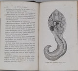 FONVIELLE Wilfrid de "Les Merveilles du Monde Invisible"
