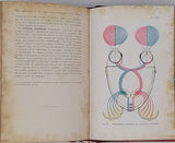 MAY Charles Henry "Manuel des Maladies de l'Oeil à l'usage des étudiants et des praticiens"
