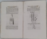 CHAPTAL O. "Manuel d'Agriculture pratique et d'économie rurale, contenant l'art de conserver, cultiver et faire produire les biens ruraux ; ..."