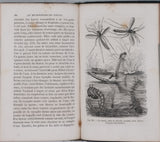 GIRARD Maurice "Les Métamorphoses des Insectes"