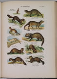 COUTIERE Henri "Le Monde Vivant - Histoire Naturelle Illustrée" 4 volumes