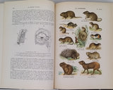 COUTIERE Henri "Le Monde Vivant - Histoire Naturelle Illustrée" 4 volumes