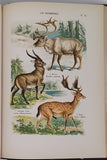 COUTIERE Henri "Le Monde Vivant - Histoire Naturelle Illustrée" 4 volumes