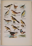 COUTIERE Henri "Le Monde Vivant - Histoire Naturelle Illustrée" 4 volumes