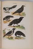 COUTIERE Henri "Le Monde Vivant - Histoire Naturelle Illustrée" 4 volumes