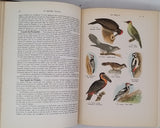 COUTIERE Henri "Le Monde Vivant - Histoire Naturelle Illustrée" 4 volumes