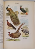 COUTIERE Henri "Le Monde Vivant - Histoire Naturelle Illustrée" 4 volumes