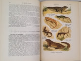COUTIERE Henri "Le Monde Vivant - Histoire Naturelle Illustrée" 4 volumes
