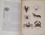 COUTIERE Henri "Le Monde Vivant - Histoire Naturelle Illustrée" 4 volumes