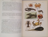 COUTIERE Henri "Le Monde Vivant - Histoire Naturelle Illustrée" 4 volumes