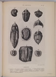COUTIERE Henri "Le Monde Vivant - Histoire Naturelle Illustrée" 4 volumes