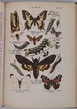 COUTIERE Henri "Le Monde Vivant - Histoire Naturelle Illustrée" 4 volumes