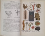 COUTIERE Henri "Le Monde Vivant - Histoire Naturelle Illustrée" 4 volumes