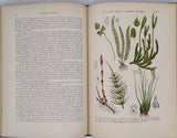 COUTIERE Henri "Le Monde Vivant - Histoire Naturelle Illustrée" 4 volumes