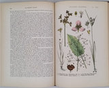 COUTIERE Henri "Le Monde Vivant - Histoire Naturelle Illustrée" 4 volumes