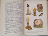 COUTIERE Henri "Le Monde Vivant - Histoire Naturelle Illustrée" 4 volumes