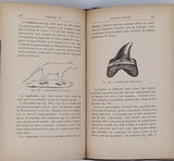 NIVOIT Edmond "Eléments de Géologie"