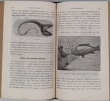 BERT Paul, BLANCHARD Raphaël "Eléments de Zoologie"