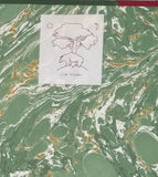 VANDERVAEL Franz "Biométrie humaine"