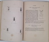CHENU Jean-Charles "Encyclopédie d'Histoire Naturelle - Coléoptères" (3 Volumes)