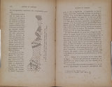 BIGOT Alexandre "L'Archéen et le Cambrien dans le nord du Massif Breton et leurs équivalents dans le Pays de Galles"