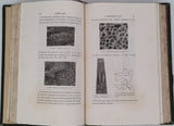 BERT Paul "LEÇONS DE ZOOLOGIE PROFESSÉES A LA SORBONNE Enseignement secondaire des jeunes filles"