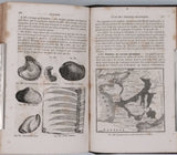 BEUDANT François-Sulpice "Cours élémentaire d'histoire naturelle à l'usage des lycées collèges, séminaires et maisons d'éducation : Minéralogie et Géologie"