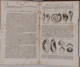 BEUDANT François-Sulpice "Cours élémentaire d'histoire naturelle à l'usage des lycées collèges, séminaires et maisons d'éducation : Minéralogie et Géologie"