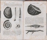 BEUDANT François-Sulpice "Cours élémentaire d'histoire naturelle à l'usage des lycées collèges, séminaires et maisons d'éducation : Minéralogie et Géologie"