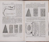 BEUDANT François-Sulpice "Cours élémentaire d'histoire naturelle à l'usage des lycées collèges, séminaires et maisons d'éducation : Minéralogie et Géologie"