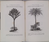FIGUIER Louis "LA TERRE AVANT LE DÉLUGE"