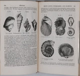 BEUDANT François-Sulpice "Cours élémentaire d'histoire naturelle à l'usage des lycées collèges, séminaires et maisons d'éducation : Minéralogie et Géologie"