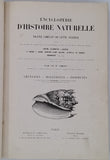CHENU Jean-Charles "Encyclopédie d'Histoire Naturelle - Crustacés, Mollusques, Zoophytes" relié à la suite "Annelés" (2 Tomes en un Volume)