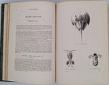 CHENU Jean-Charles "Encyclopédie d'Histoire Naturelle - Crustacés, Mollusques, Zoophytes" relié à la suite "Annelés" (2 Tomes en un Volume)