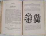 CHENU Jean-Charles "Encyclopédie d'Histoire Naturelle - Crustacés, Mollusques, Zoophytes" relié à la suite "Annelés" (2 Tomes en un Volume)