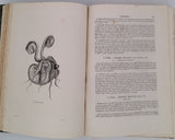 CHENU Jean-Charles "Encyclopédie d'Histoire Naturelle - Crustacés, Mollusques, Zoophytes" relié à la suite "Annelés" (2 Tomes en un Volume)