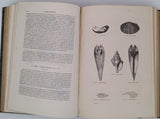 CHENU Jean-Charles "Encyclopédie d'Histoire Naturelle - Crustacés, Mollusques, Zoophytes" relié à la suite "Annelés" (2 Tomes en un Volume)